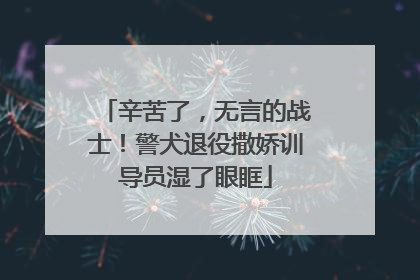 辛苦了，无言的战士！警犬退役撒娇训导员湿了眼眶