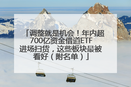 调整就是机会！年内超700亿资金借道ETF进场扫货，这些板块最被看好（附名单）