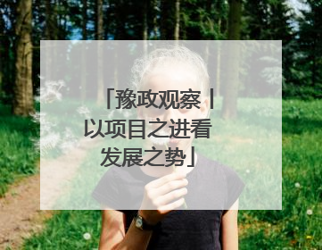 豫政观察丨以项目之进看发展之势