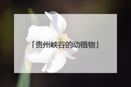 贵州峡谷的动植物