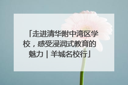 走进清华附中湾区学校，感受浸润式教育的魅力｜羊城名校行