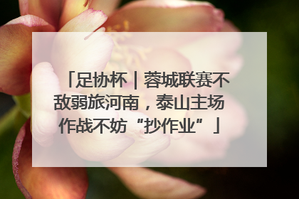 足协杯｜蓉城联赛不敌弱旅河南，泰山主场作战不妨“抄作业”
