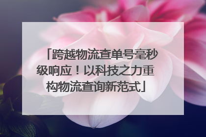 跨越物流查单号毫秒级响应！以科技之力重构物流查询新范式