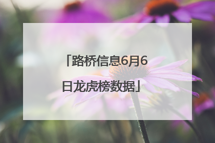 路桥信息6月6日龙虎榜数据