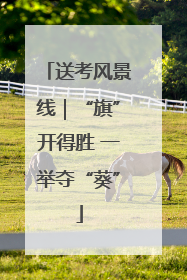 送考风景线｜“旗”开得胜 一举夺“葵”