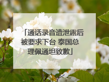 通话录音遭泄露后被要求下台 泰国总理佩通坦致歉