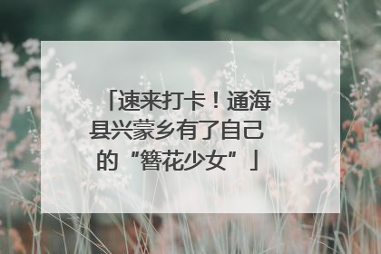 速来打卡！通海县兴蒙乡有了自己的“簪花少女”