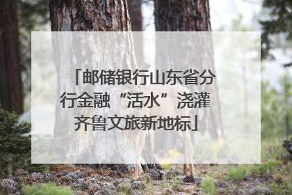 邮储银行山东省分行金融“活水”浇灌齐鲁文旅新地标