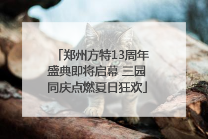郑州方特13周年盛典即将启幕 三园同庆点燃夏日狂欢