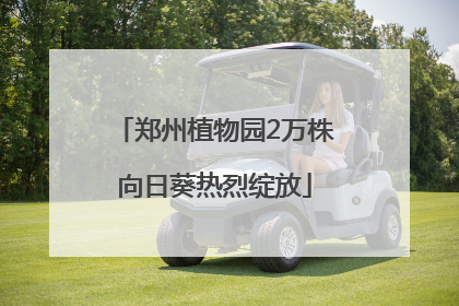 郑州植物园2万株向日葵热烈绽放