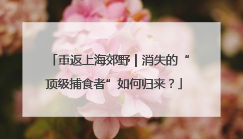 重返上海郊野｜消失的“顶级捕食者”如何归来？