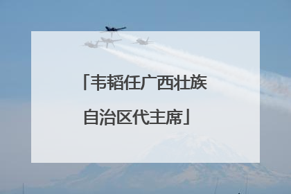 韦韬任广西壮族自治区代主席