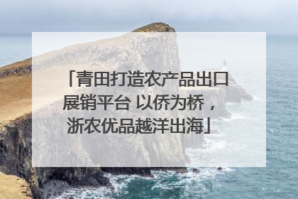 青田打造农产品出口展销平台 以侨为桥，浙农优品越洋出海