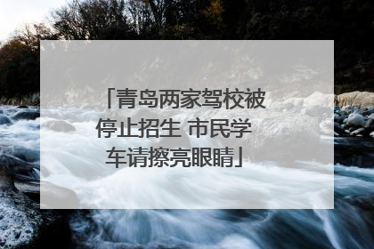 青岛两家驾校被停止招生 市民学车请擦亮眼睛