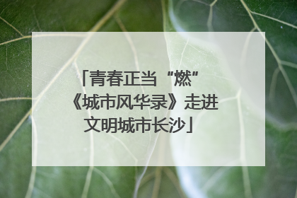 青春正当“燃” 《城市风华录》走进文明城市长沙