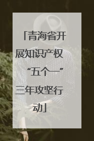 青海省开展知识产权“五个一”三年攻坚行动