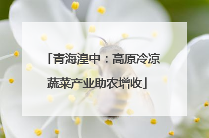 青海湟中：高原冷凉蔬菜产业助农增收