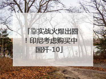 靠实战火爆出圈！印尼考虑购买中国歼-10