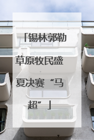 锡林郭勒草原牧民盛夏决赛“马超”