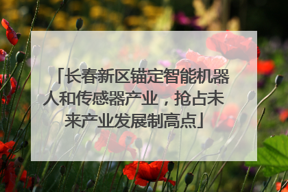 长春新区锚定智能机器人和传感器产业，抢占未来产业发展制高点