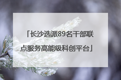 长沙选派89名干部联点服务高能级科创平台
