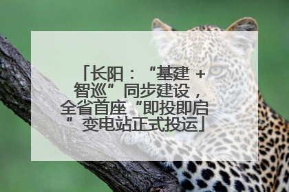 长阳：“基建 + 智巡”同步建设，全省首座“即投即启”变电站正式投运