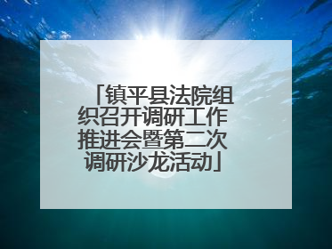 镇平县法院组织召开调研工作推进会暨第二次调研沙龙活动