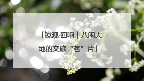 镜观·回响｜八闽大地的文旅“茗”片