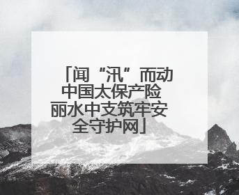 闻“汛”而动 中国太保产险丽水中支筑牢安全守护网