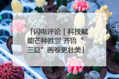 闪电评论｜科技赋能芒种胜景 齐鲁“三夏”画卷更壮美