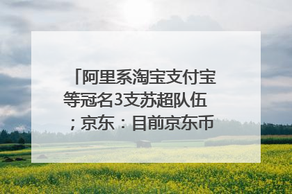 阿里系淘宝支付宝等冠名3支苏超队伍；京东：目前京东币链科技并没有开始发行稳定币｜早资道