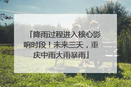 降雨过程进入核心影响时段！未来三天，重庆中雨大雨暴雨