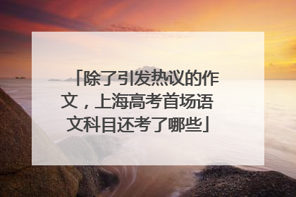 除了引发热议的作文，上海高考首场语文科目还考了哪些