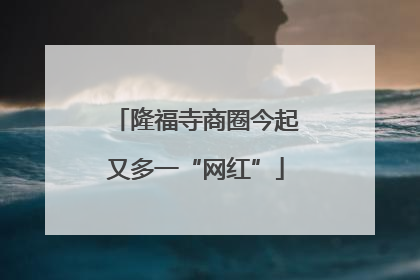 隆福寺商圈今起又多一“网红”