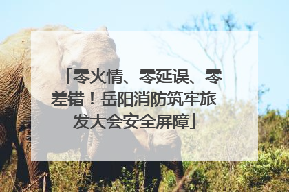 零火情、零延误、零差错！岳阳消防筑牢旅发大会安全屏障