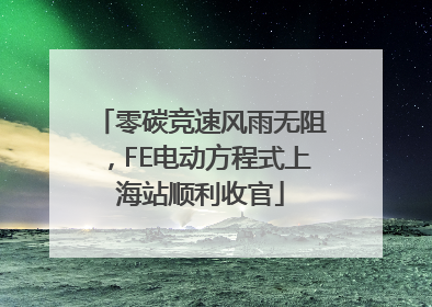 零碳竞速风雨无阻，FE电动方程式上海站顺利收官