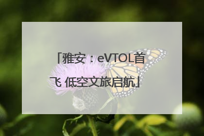 雅安：eVTOL首飞 低空文旅启航
