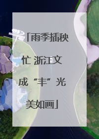 雨季插秧忙 浙江文成“丰”光美如画
