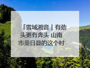 雪域湘音｜有劲头更有奔头 山南市桑日县的这个村落迎来蜕变