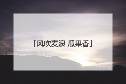 风吹麦浪 瓜果香
