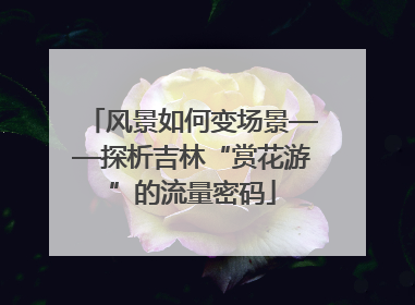 风景如何变场景——探析吉林“赏花游”的流量密码
