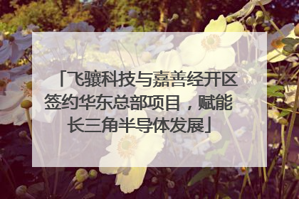 飞骧科技与嘉善经开区签约华东总部项目，赋能长三角半导体发展