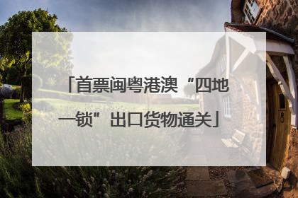 首票闽粤港澳“四地一锁”出口货物通关