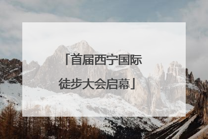 首届西宁国际徒步大会启幕