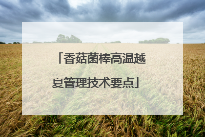 香菇菌棒高温越夏管理技术要点