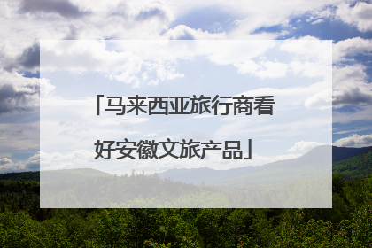 马来西亚旅行商看好安徽文旅产品