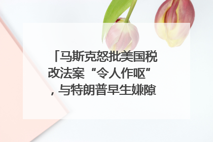 马斯克怒批美国税改法案“令人作呕”，与特朗普早生嫌隙？｜国际识局