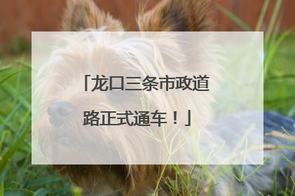 龙口三条市政道路正式通车！