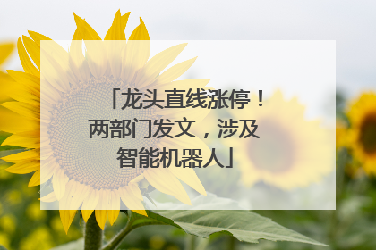 龙头直线涨停！两部门发文，涉及智能机器人
