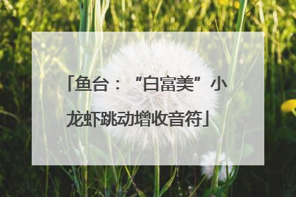 鱼台：“白富美”小龙虾跳动增收音符
